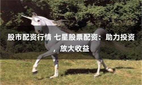 股市配资行情 七星股票配资：助力投资，放大收益