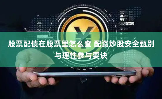 股票配债在股票里怎么查 配资炒股安全甄别与理性参与要诀