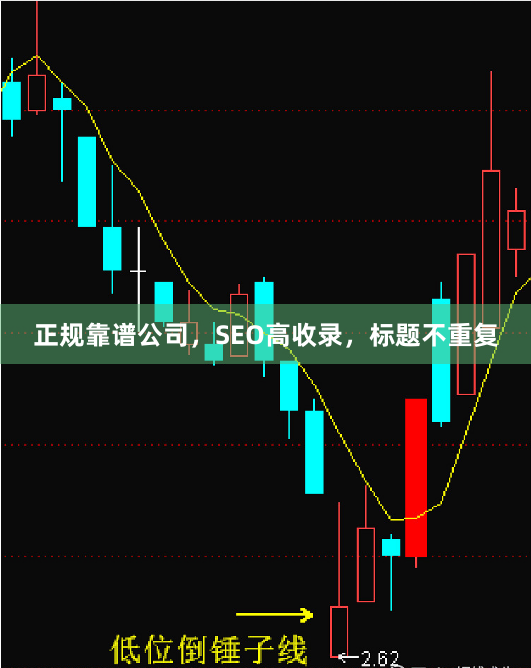 正规靠谱公司，SEO高收录，标题不重复
